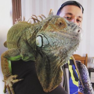 Aleksander oluse (_Alex_), Rotterdam, Olsztyn