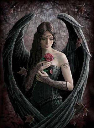 black angel black (blackangel), gdzieś