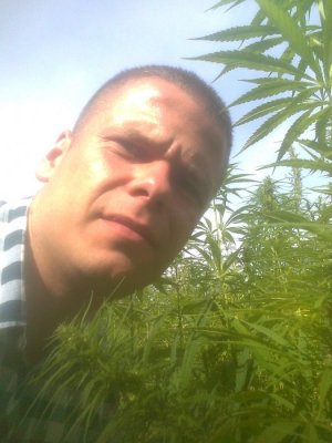 Michał Pol (paczmiwocz), Ede, Poznań