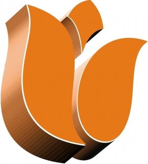 Roland Vollmuller (HolandiaJobs), Radom