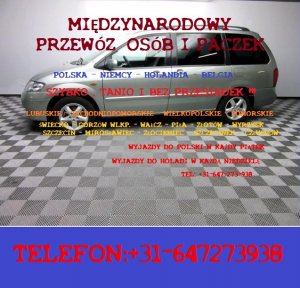 Bartek Wiśniewski (transformers181), Bergen op Zoom, Buntowo