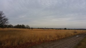 kamil nowy (kalil), tilburg, poznan