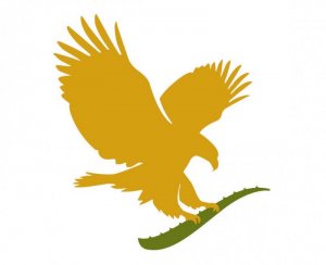 FLPHolandia (Forever Forever)