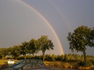 Wojciech Staniak (WojciechStaniak)