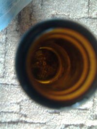 Krzysztof Wróbel (KrzysztofWrobel), Cuijk, Zielona Góra