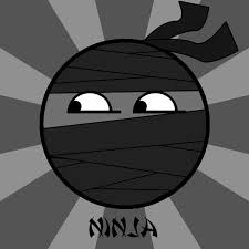 Robert Robert (Ninja29), Amsterdam, zgorzelec