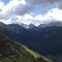 Michał Wiśniewski (MichalWisna)