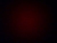 Łukasz Cybulski (LukaszCybulski)