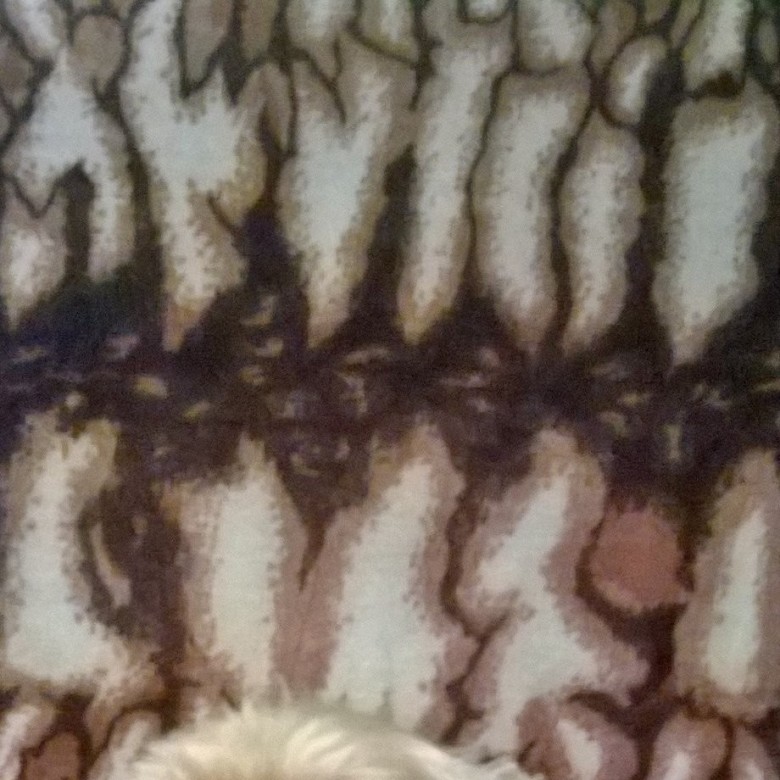 Aneta Sowała (AnetaSowala), Sieradz