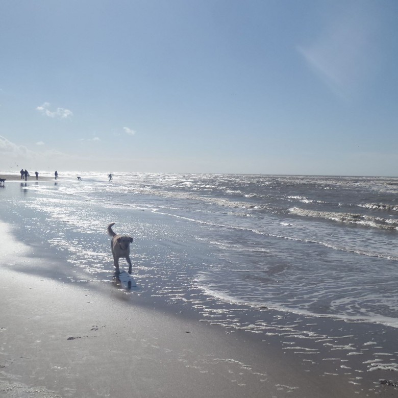 Sebastian Lambryczak (SebastianLambryczak), Bussum