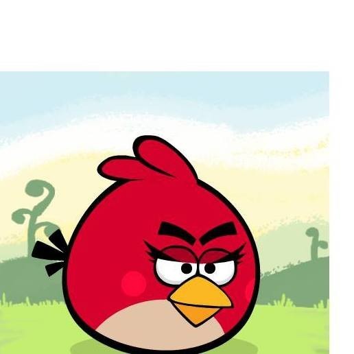 Sławomir Kokosa (SlawomirKokosa), Alphen aan den Rijn, Bodzechów