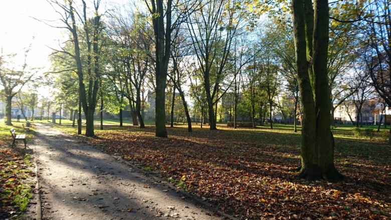 Slawek Slawomir (JerzyJurek), Maurik, Brodnica