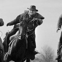 Jaro Nu (JaroNu), Gorinchem, Siedlce