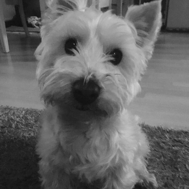 Justyna Ka (JustynaKa), Torun