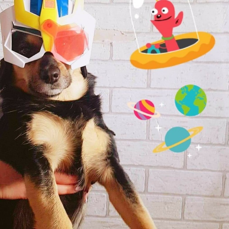 Hal Bartek (HalBartek)