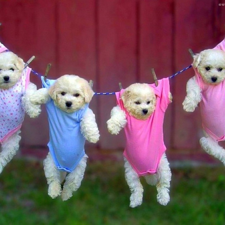 Elwira Wróblewska Wróbel (ElwiraWroblewskaWrobel), Radom