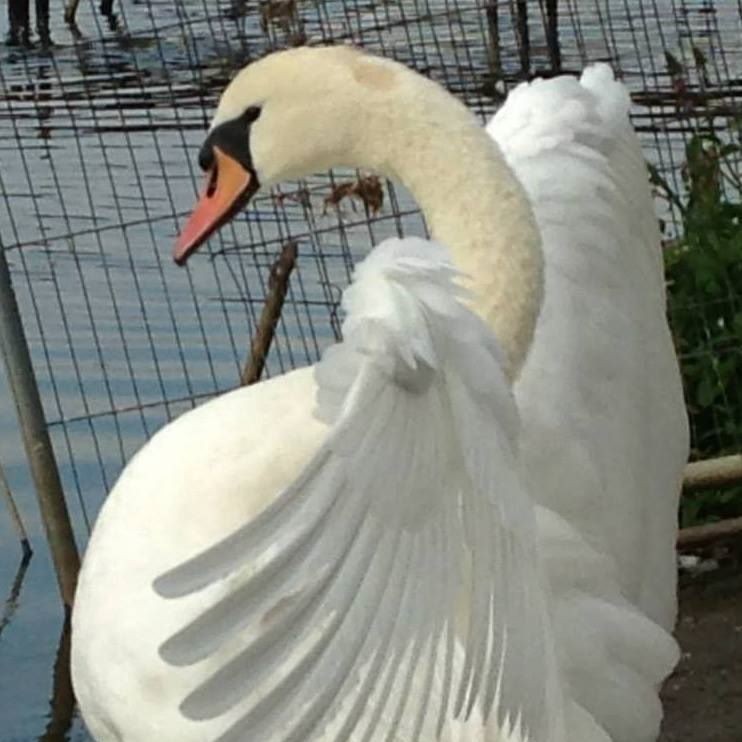 Tomasz Korolczuk (TomaszKorolczuk), Biała Podlaska