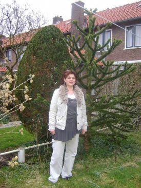 Bogda Ruzyk (bogda), Deventer, Wroclaw