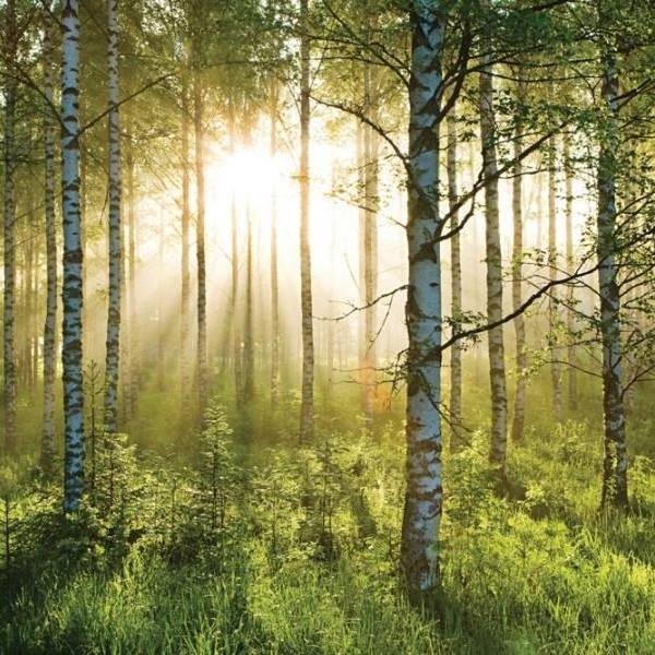 Sylvia Henk (SylviaHenk), Stolarzowice, Katowice