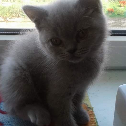 Radosław Moro (RadoslawMoro), Venlo