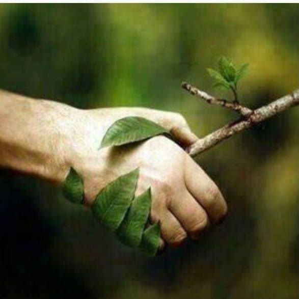 Buschcrafter Lucas Holland (BuschcrafterLucasHolland), Utrecht, Lebork