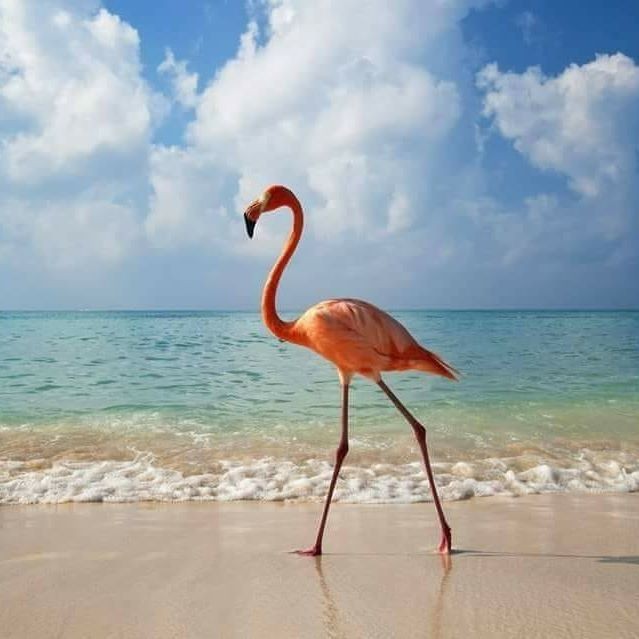 Tomek Ce (TomekCe), Tilburg, Łódź