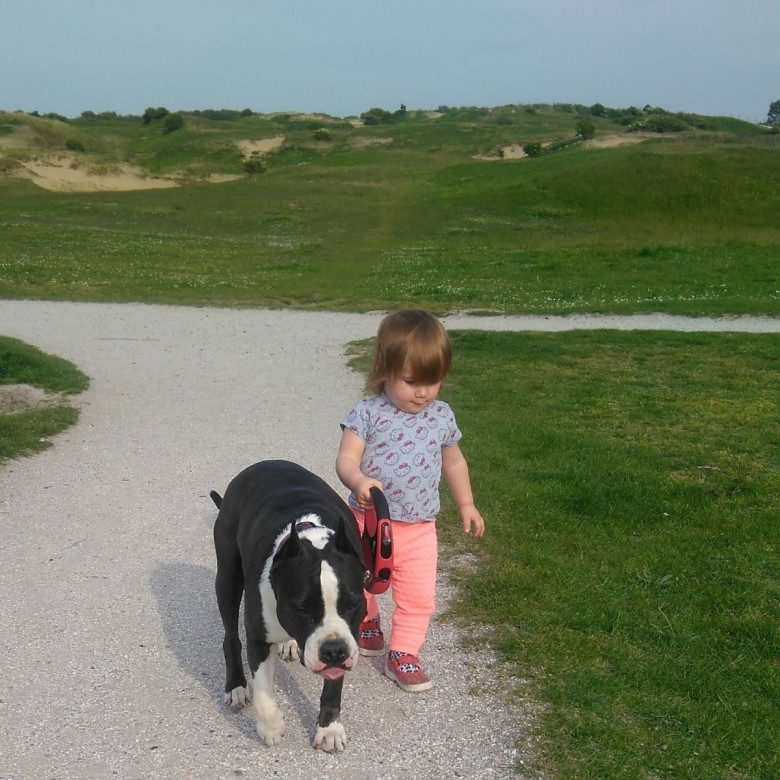 Grzegorz Jan Archacki (GrzegorzJanArchacki), Noordwijk, Zuid-Holland, Grajewo