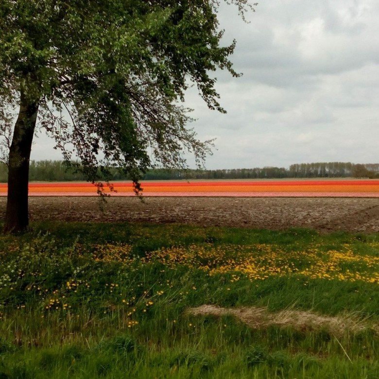 Krzysztof Grzybek (KrzysztofGrzybek), Berkhout