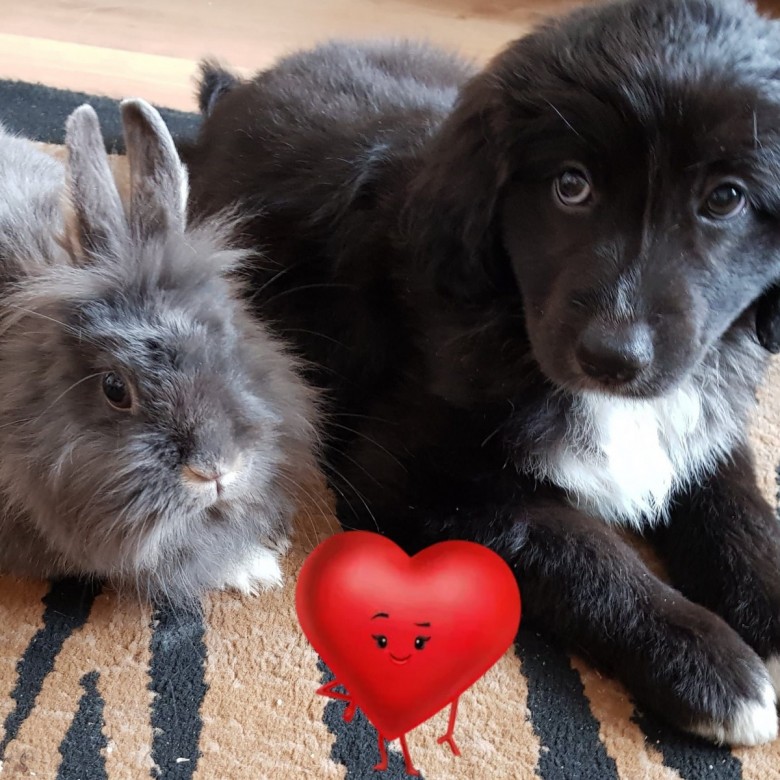 Wiktoria Basia (WiktoriaBasia), Elblag