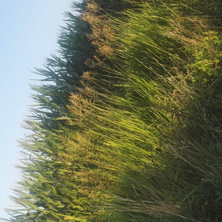 Dariusz Harnack (DariuszHarnack), Warsaw