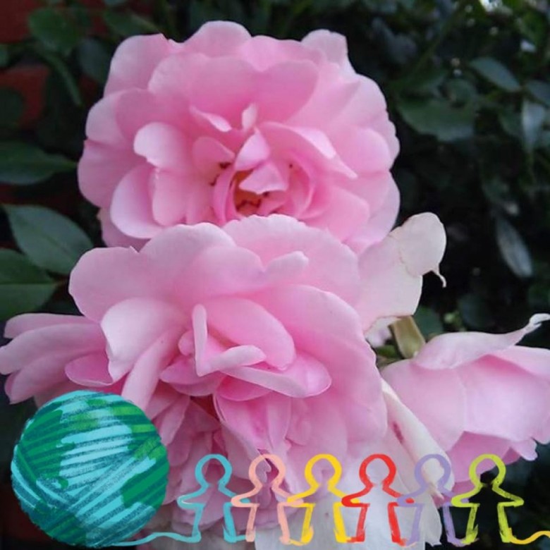 Renata Mis (RenataMis), The Hague