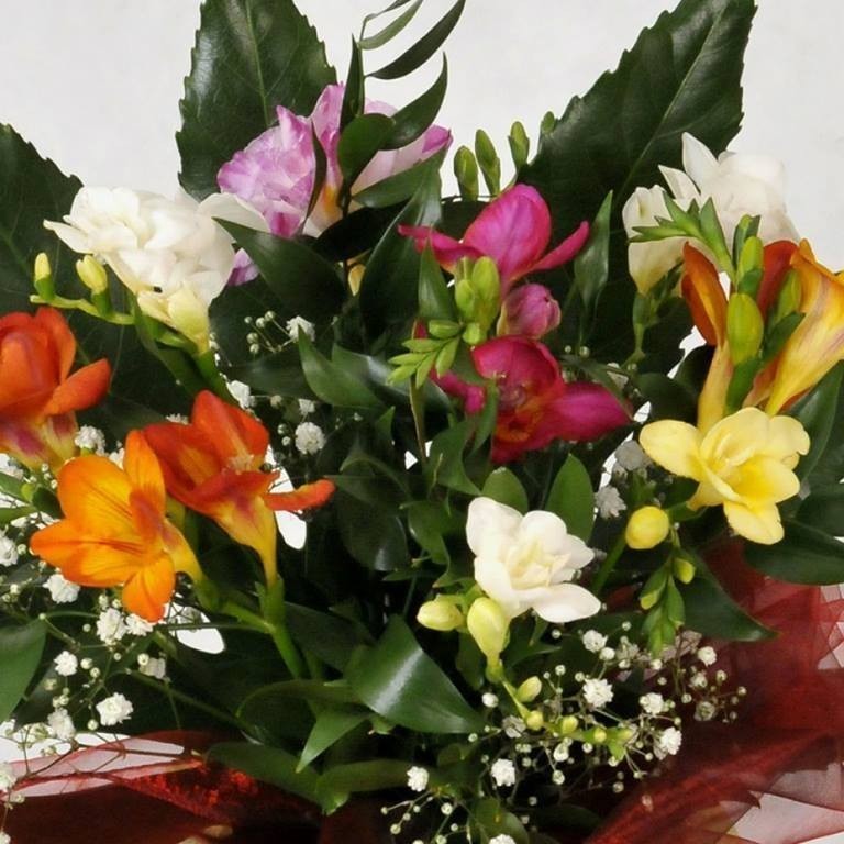 Ela Bujaczka (ElaBujaczka), Pisz