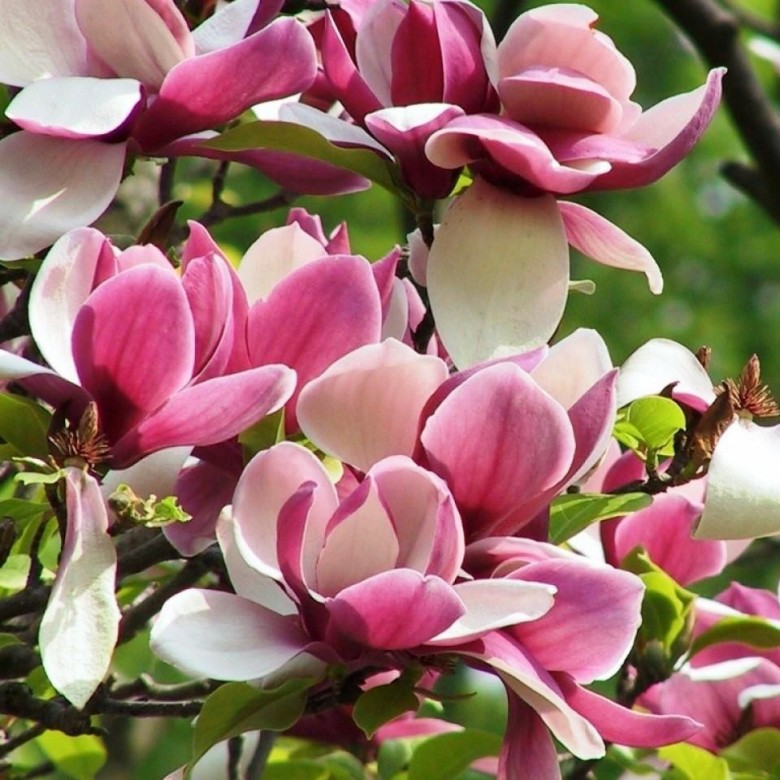 Beata Lipiec (BeataLipiec)