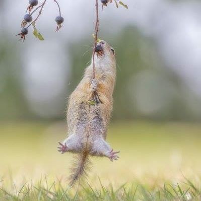 Katarzyna Natkańska (KatarzynaNatkanska), Przedbórz