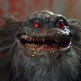 Swoj Dla Swoich (SwojDlaSwoich)