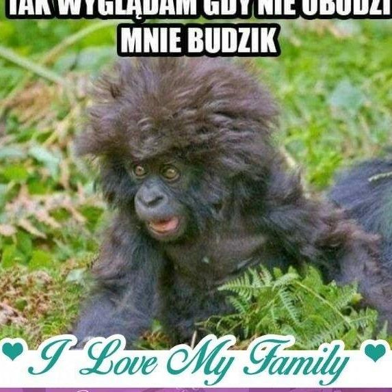 Renata Zarowska (RenataZarowska)