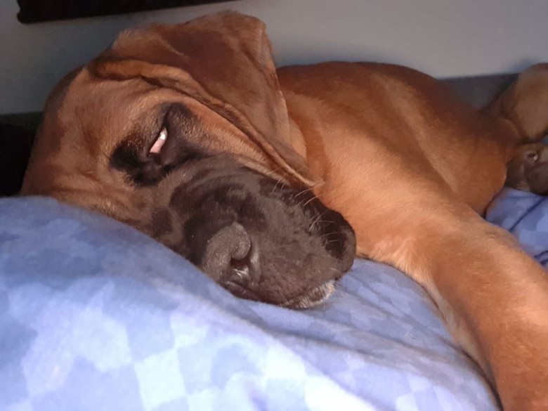 Piotrek555 (Piotrek555 )