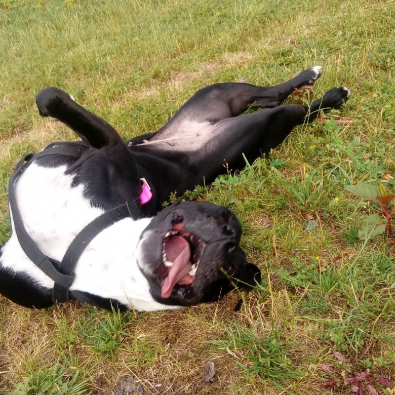 Lukasz Zatonski (LukaszZatonski)