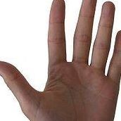 Ręka Piskorz (RekaPiskorz)