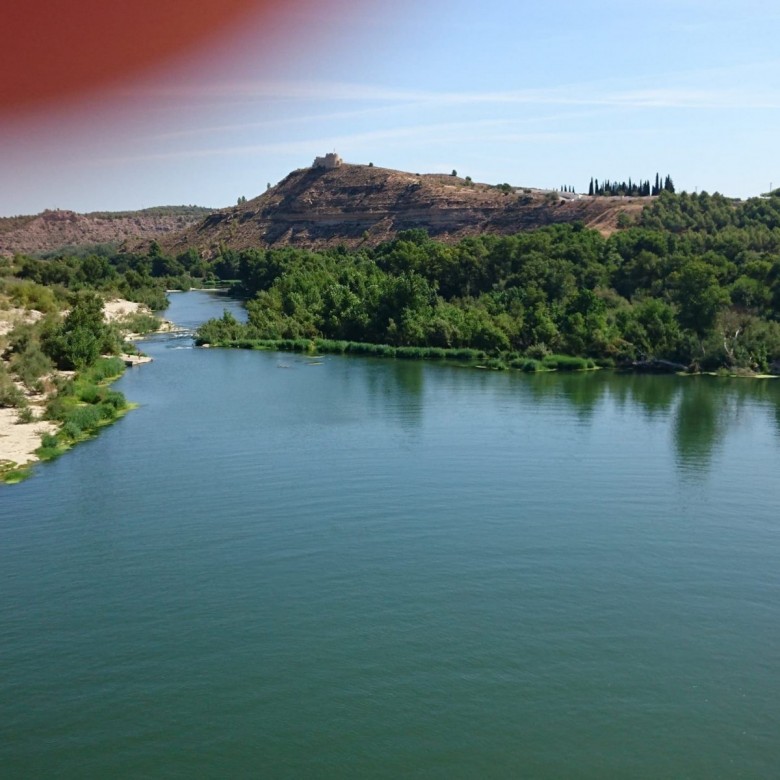 Ksieciunio Ksieciunio (KsieciunioKsieciunio), Katowice