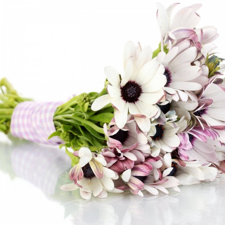 Agnieszka Koper (AgnieszkaKoper), Lublin