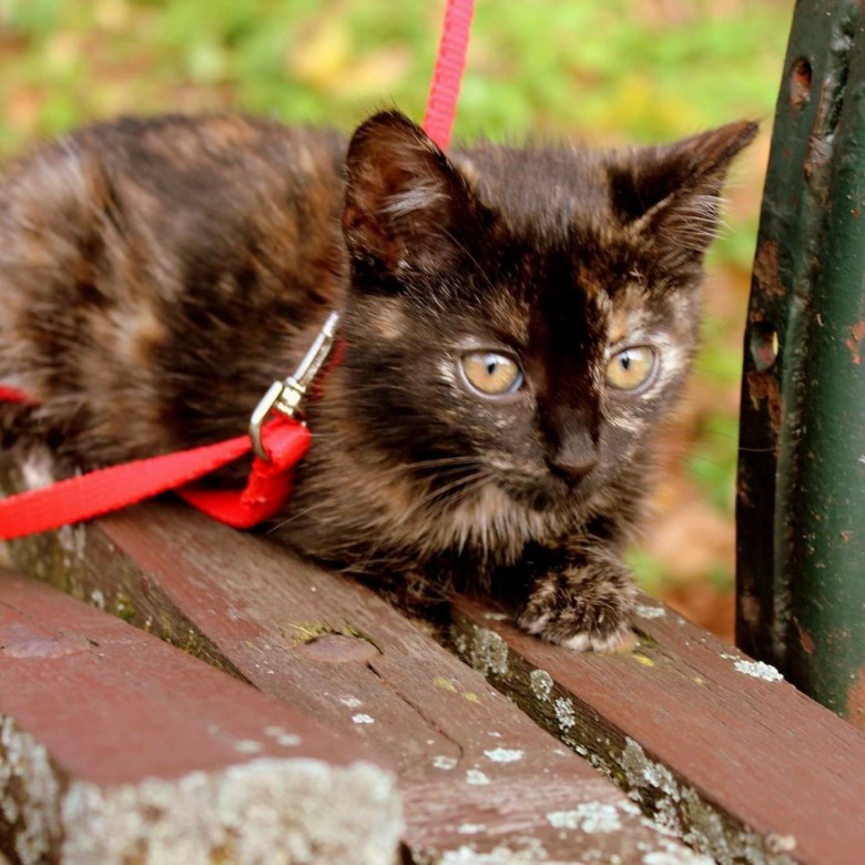 Beata Stasik (BeataStasik), Cieszyn