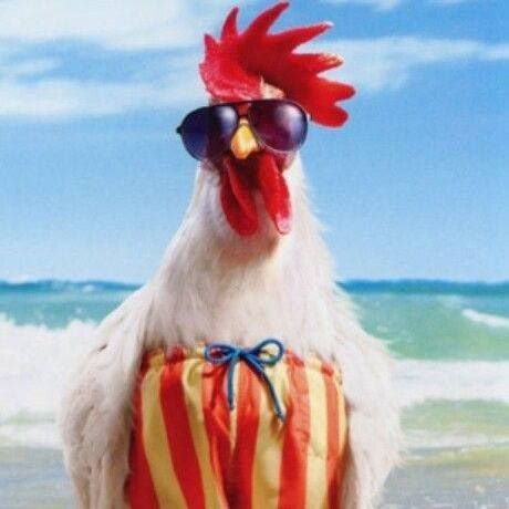 Kamil (Kamil1Kurczak), Ommen, Poznachowice Górne