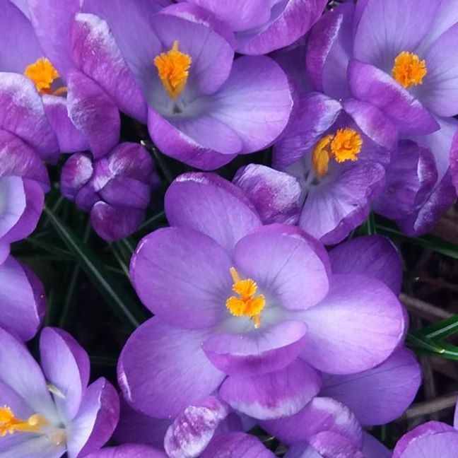 Doris Gajda (DorisGajda), Skierniewice