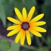 Michalak Anika (MichalakAnika), Wałbrzych