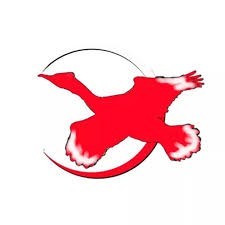 Kormoranbus  (Kormoranbus)