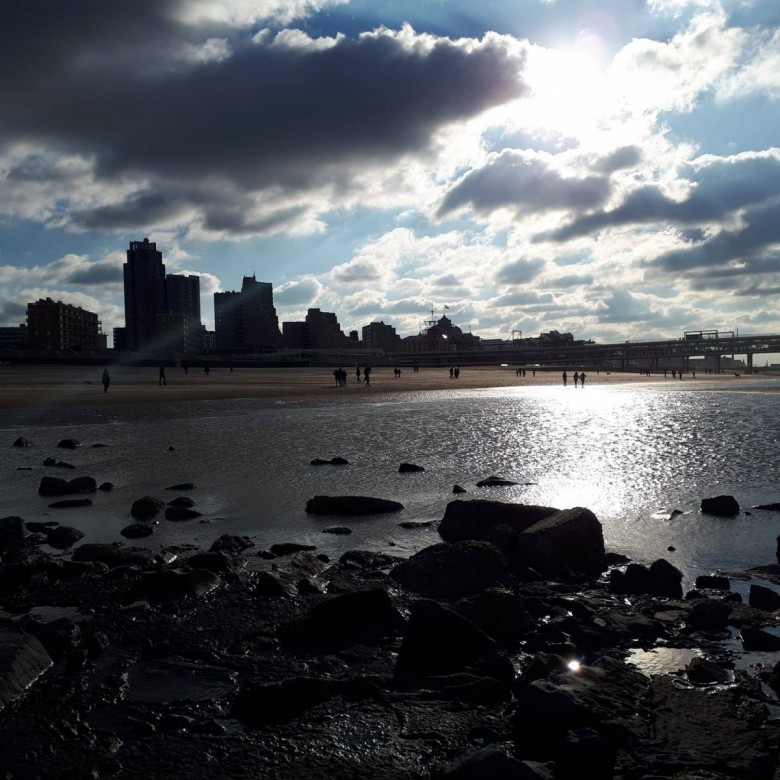 Tomasz Chludzinski (TomaszChludzinski), The Hague, Czestochowa