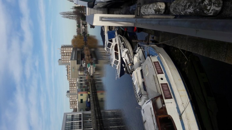 Bartez82Leiden (Bartez82Leiden )