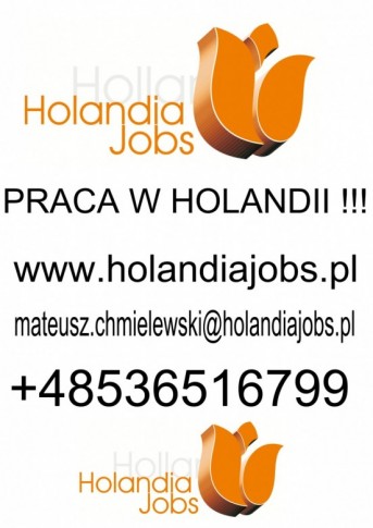 Holandiajobs.praca  (Holandiajobs.praca), Głogów