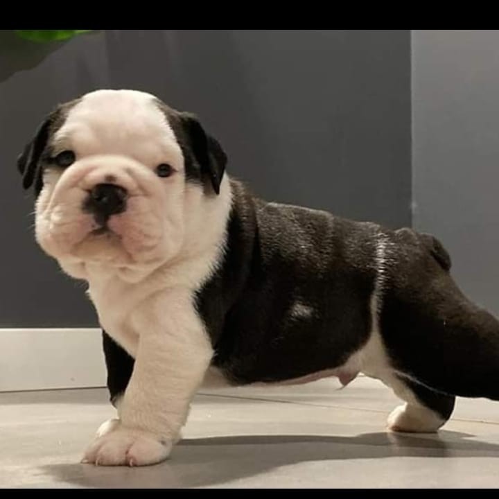 Marcin Pietrzak (MarcinPietrzak), Konin